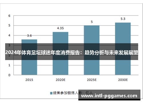 2024年体育足坛球迷年度消费报告：趋势分析与未来发展展望