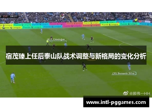 宿茂臻上任后泰山队战术调整与新格局的变化分析