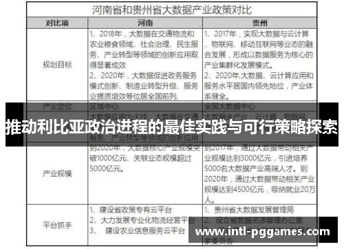 推动利比亚政治进程的最佳实践与可行策略探索