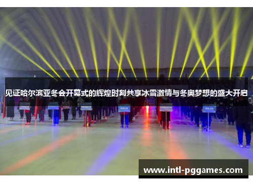 见证哈尔滨亚冬会开幕式的辉煌时刻共享冰雪激情与冬奥梦想的盛大开启