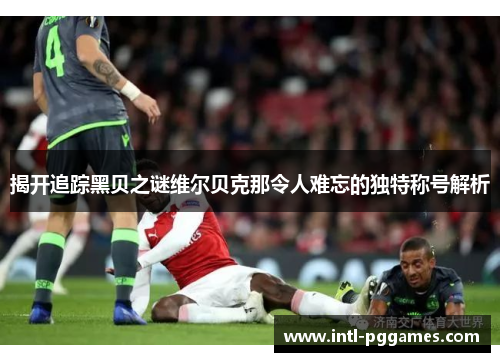 揭开追踪黑贝之谜维尔贝克那令人难忘的独特称号解析