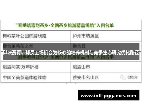 以联赛青训球员上场机会为核心的培养机制与竞争生态研究优化路径