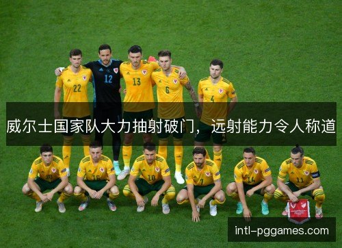 威尔士国家队大力抽射破门，远射能力令人称道